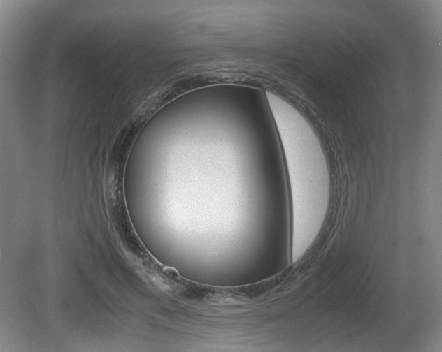 X0000079320597200611170932