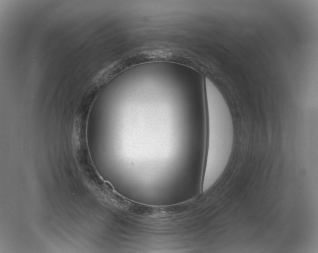 X0000079320600200611170932