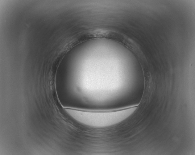 X0000079320604200611170932