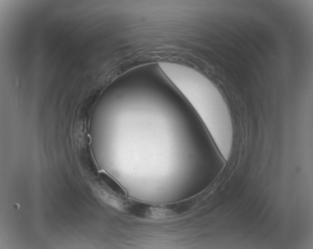 X0000079320605200611170932