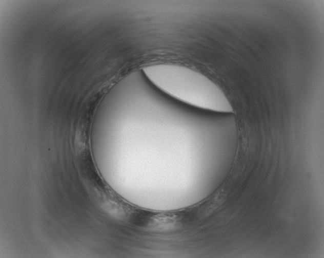 X0000079320606200611170932