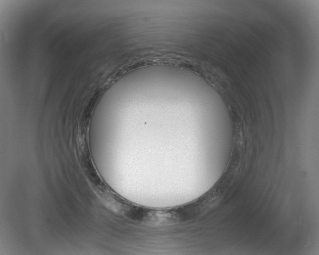 X0000079320607200611170932