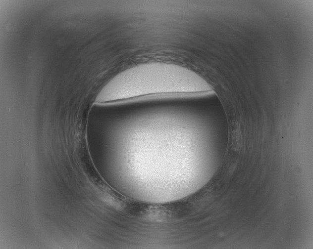 X0000079320608200611170932