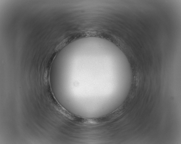 X0000079320610200611170932