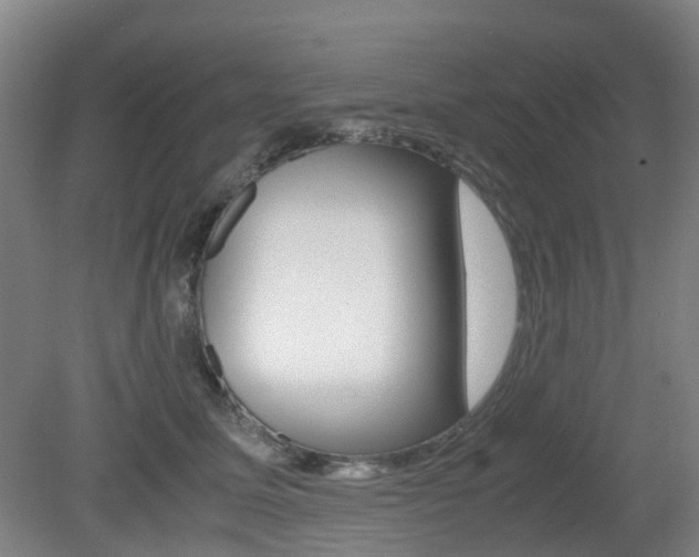 X0000079320611200611170932