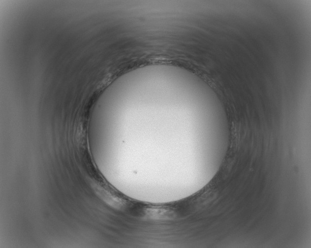 X0000079320614200611170932