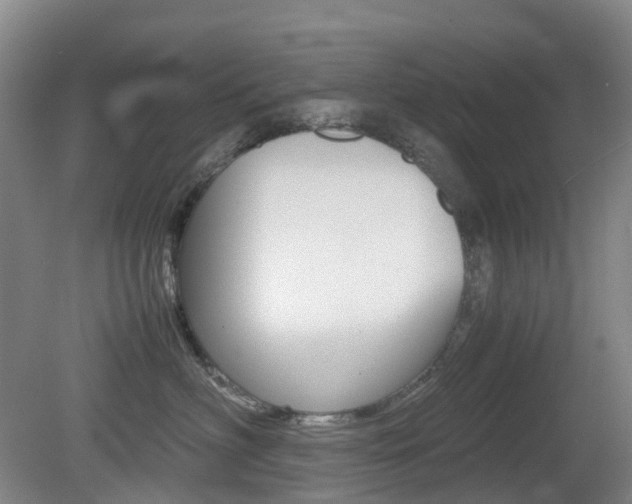 X0000079320622200611170932