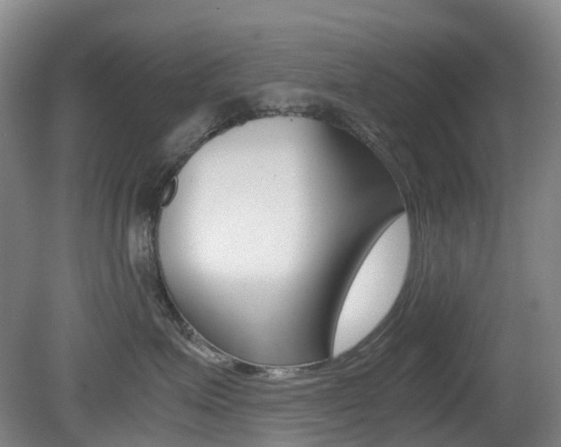 X0000079320623200611170932