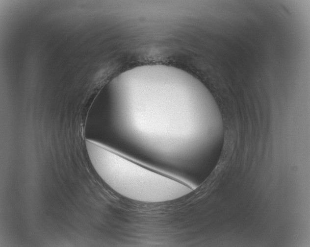 X0000079320624200611170932
