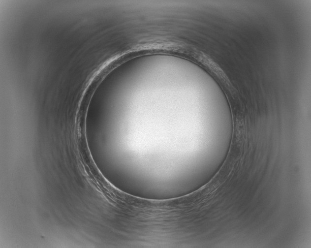 X0000079320628200611170931