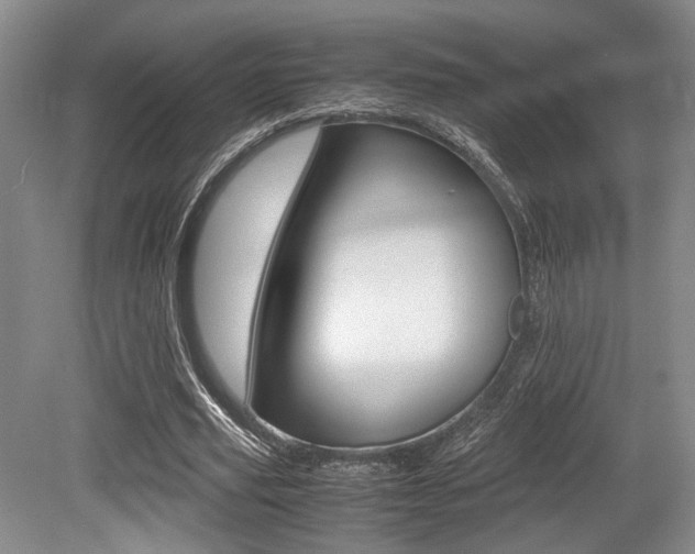 X0000079320629200611170931