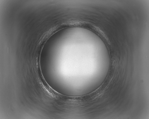 X0000079320633200611170931