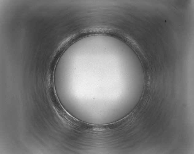 X0000079320636200611170931