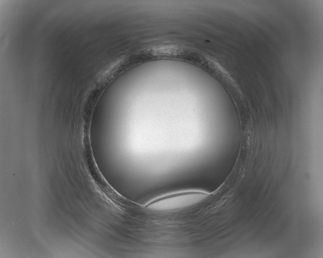 X0000079320637200611170931
