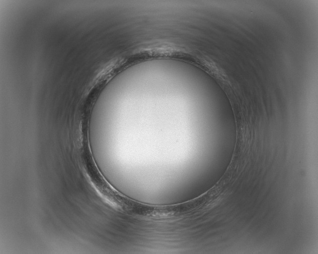 X0000079320638200611170931