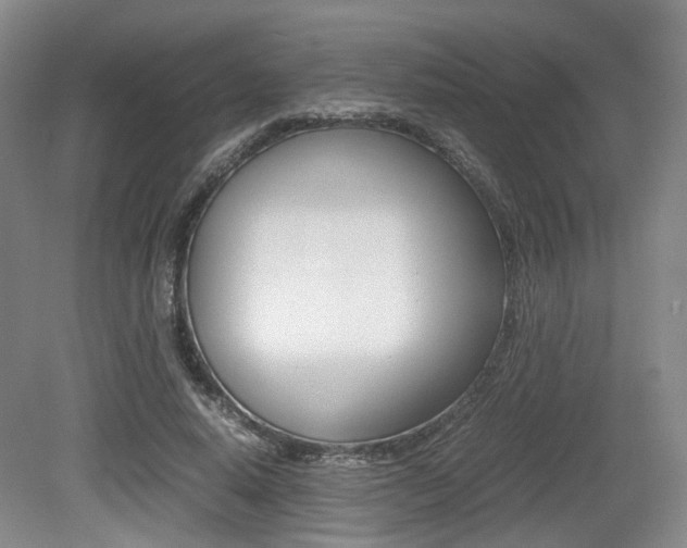 X0000079320640200611170931