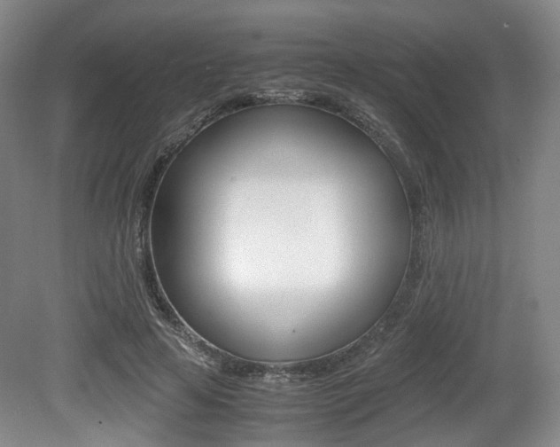 X0000079320641200611170931