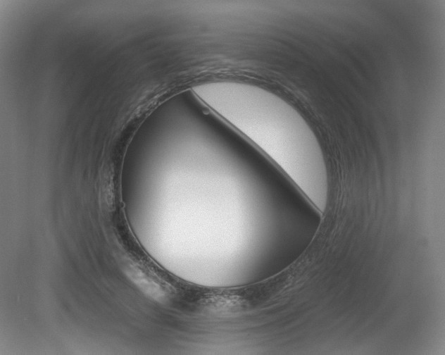 X0000079320642200611170931