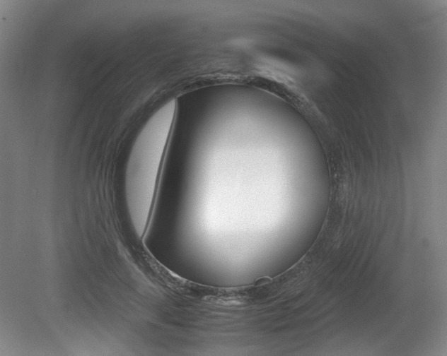 X0000079320643200611170931