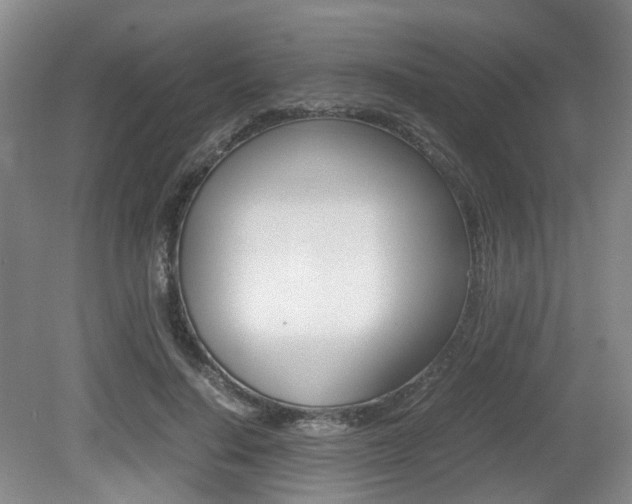 X0000079320644200611170931