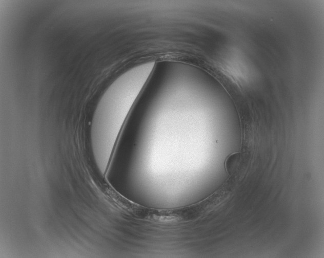 X0000079320645200611170931