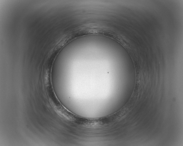 X0000079320646200611170931