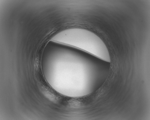 X0000079320648200611170931