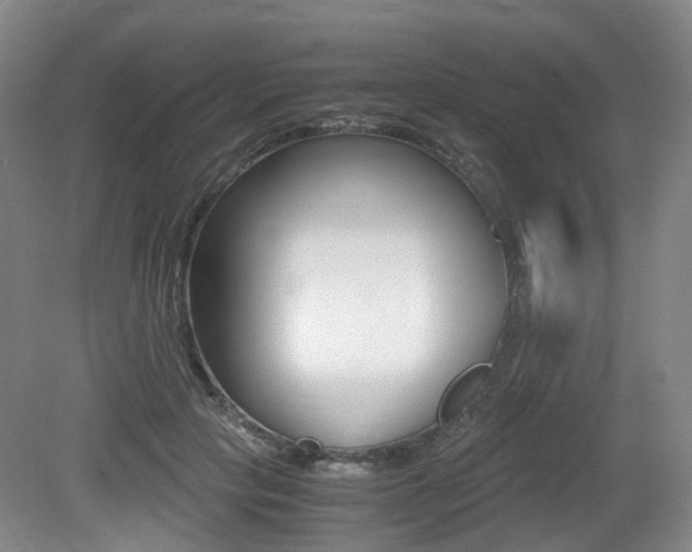 X0000079320649200611170931
