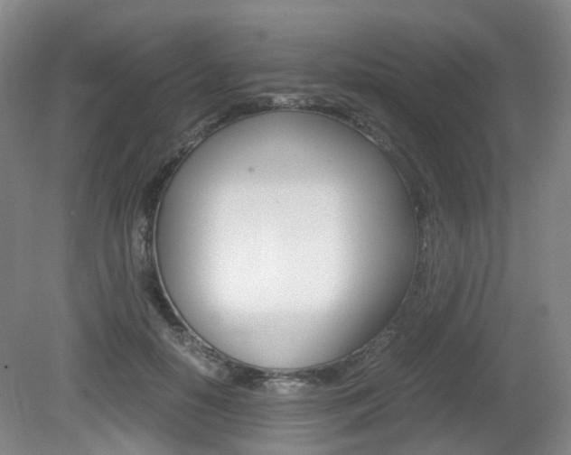 X0000079320650200611170931
