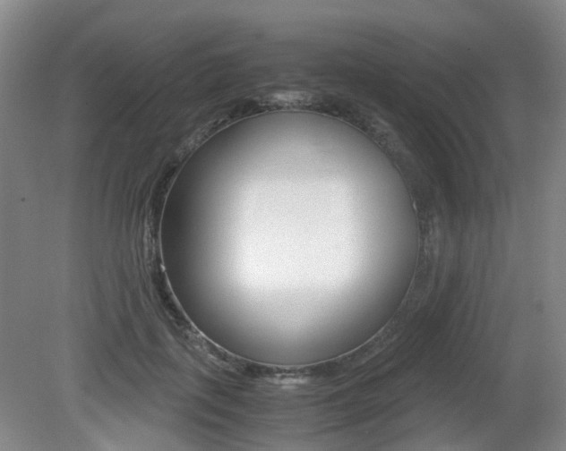 X0000079320651200611170931
