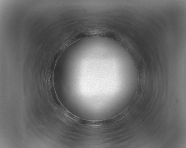 X0000079320653200611170932