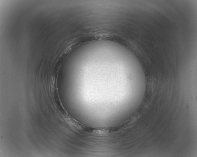 X0000079320660200611170932