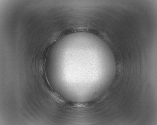 X0000079320662200611170932
