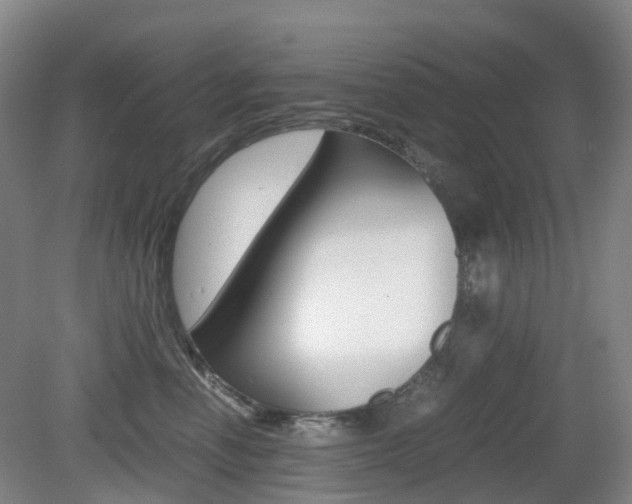 X0000079320666200611170932