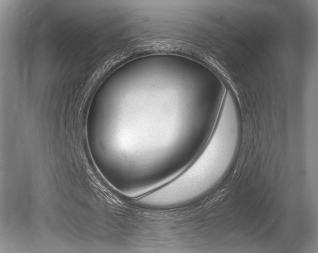 X0000079320673200611170931