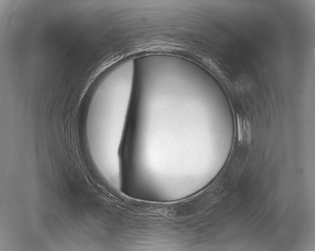 X0000079320675200611170931