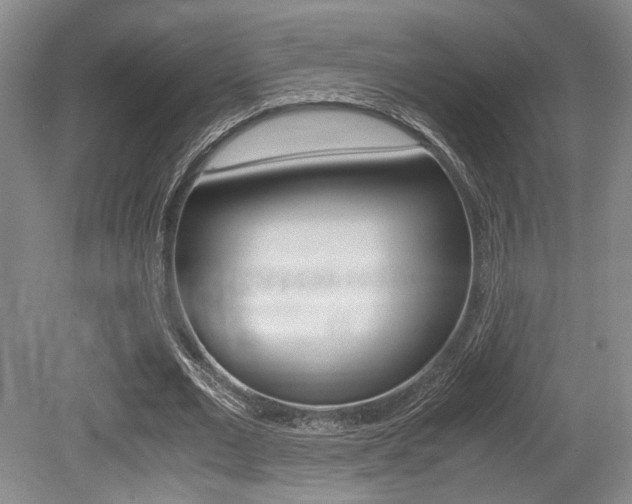 X0000079320677200611170931