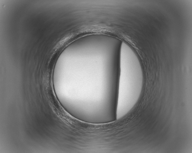 X0000079320679200611170931