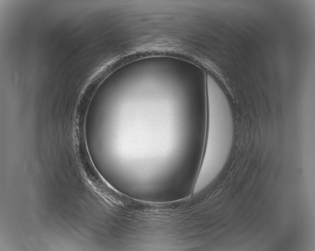 X0000079320680200611170931