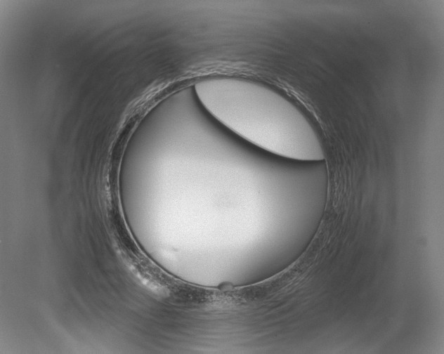 X0000079320682200611170931