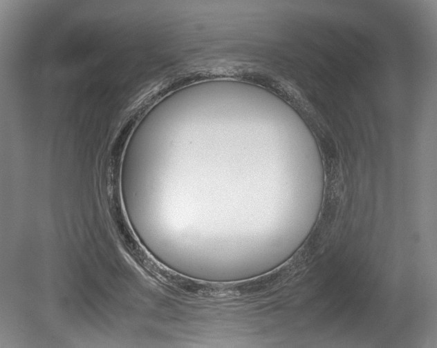X0000079320683200611170931