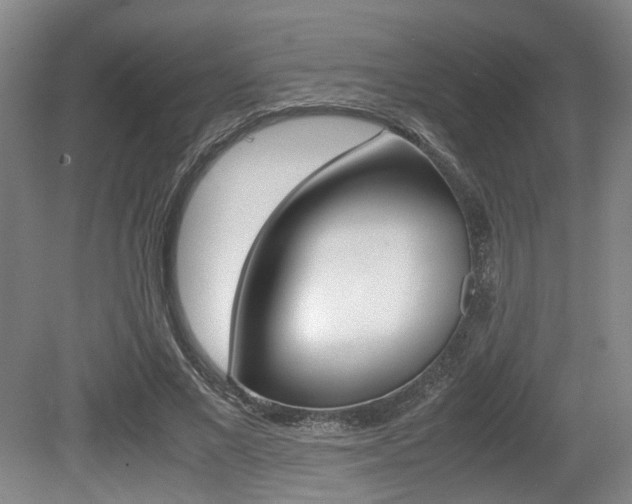 X0000079320685200611170931