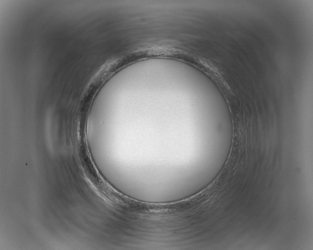 X0000079320686200611170931