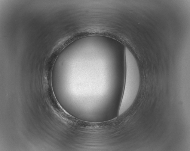 X0000079320688200611170931