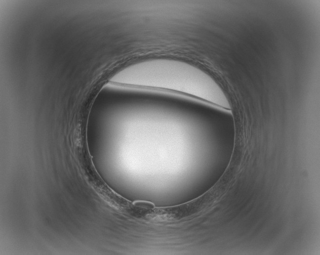 X0000079320689200611170931