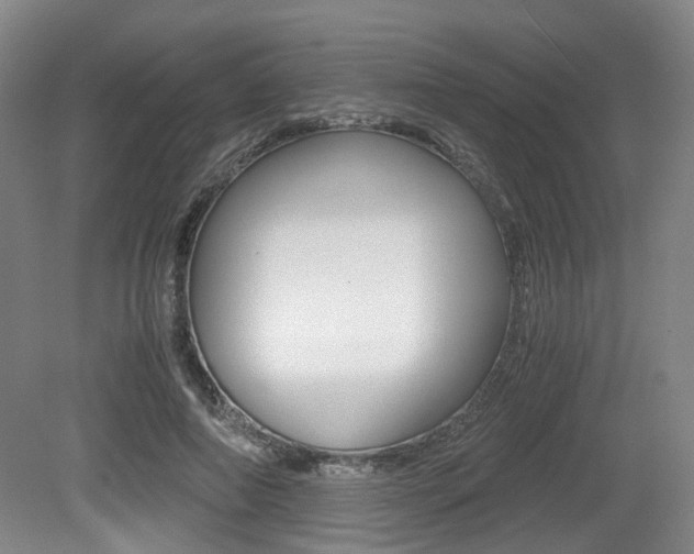 X0000079320690200611170931
