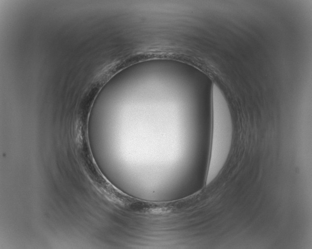 X0000079320692200611170931