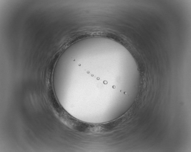X0000079320695200611170931