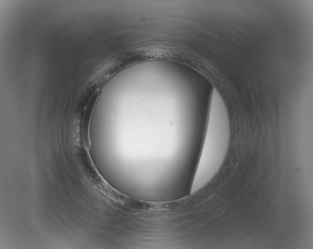 X0000079320696200611170931