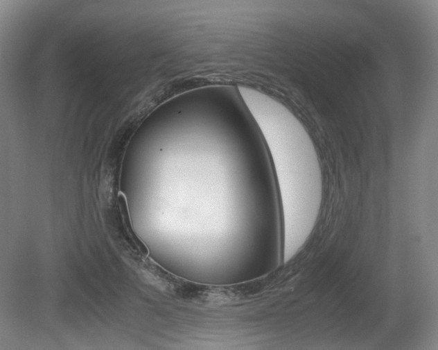 X0000079320697200611170931